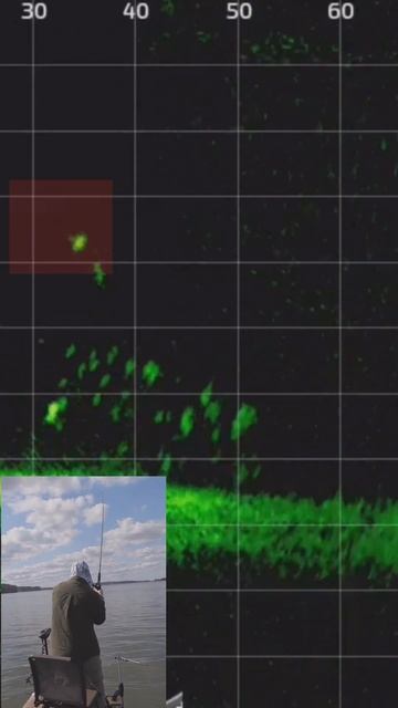 Catching HUGE Bass With LiveScope Plus!!! (RED=Fish, GOLD=Lure) #shorts #fishing #technology смотреть онлайн