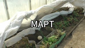 3. Календарь дачника. Март.