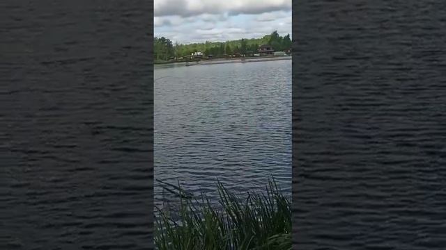 О рыбаке года впору петь песни! смотреть онлайн