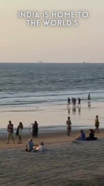 INDIA  AMAZING FACTS #youtubeshorts #ytshorts #india