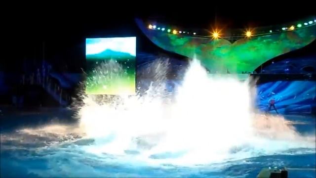 Shamu Rocks Opening 12/31/11 (1) смотреть онлайн