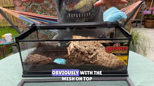 Unboxing up a Zoo Med Creatures enclosure with EXCLUSIVE new light смотреть онлайн