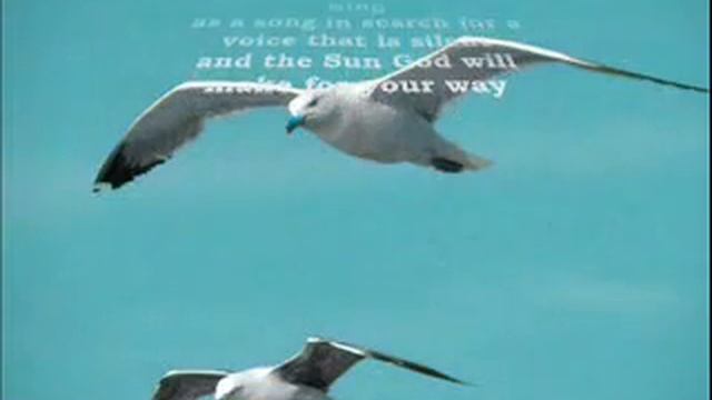 Tribute to fly смотреть онлайн