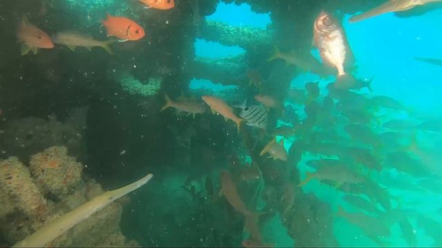 Sal, Cape Verde March 2020.3 смотреть онлайн