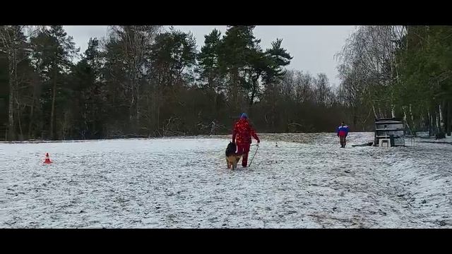 3.  выр/перв СЕРБИЧ ФОН КРИСТИН ХОФ (Fantom v. Pallas Athene – Team Bulle Hof Yutta)