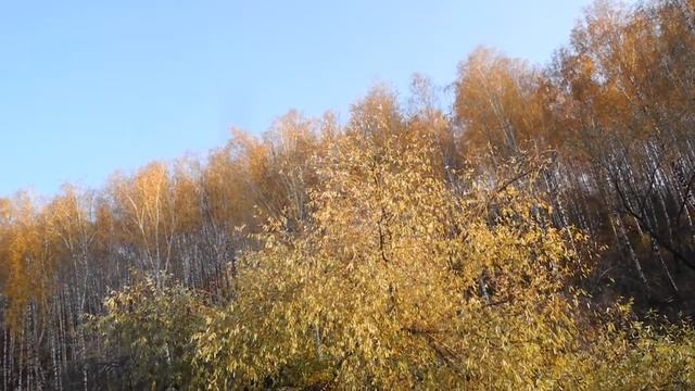 Чёрный ворон я не твой смотреть онлайн