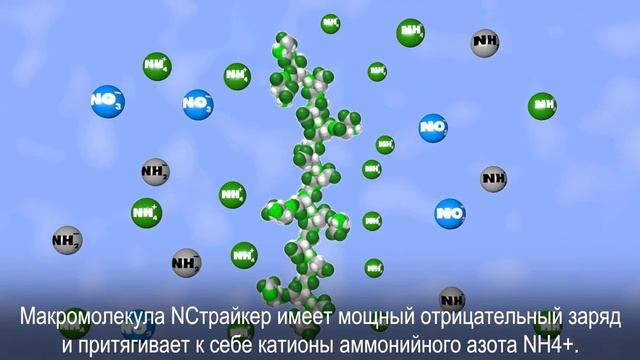 Видео_NСтрайкер