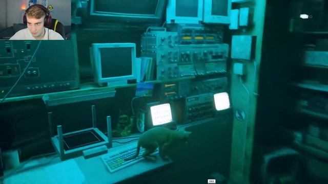 Stray.Почувсвуй себя рыжим котом! смотреть онлайн