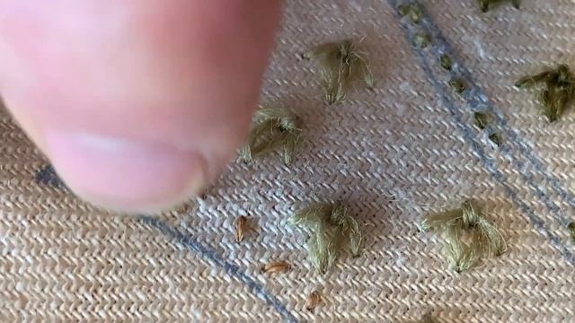 Phillipa's Crewel Work Corner - Video #11 - Running Hare Kit - Seeding Stitches смотреть онлайн