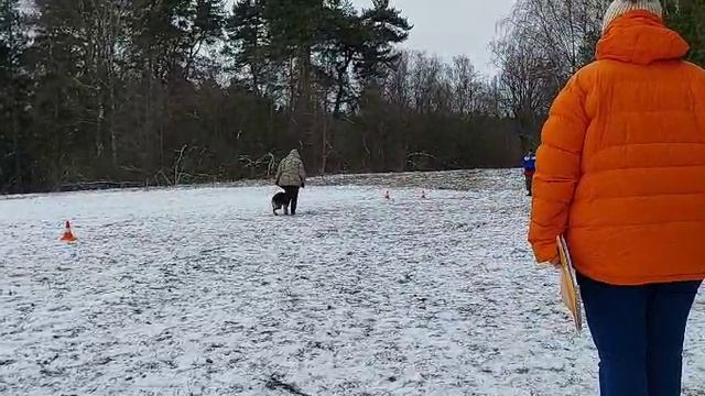 8.  выр/пож ЭРАТО ШАХ ВИРТУС (Odin Du Val D*Anzin – Эрато Шах Юната)