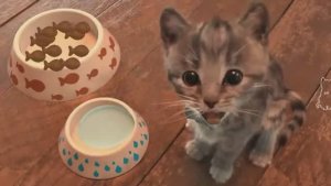 Уход За Котенком, питомцем и приключения! МульТик игРа Для Детей Cute Kitten Little Cat Adventure