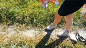 🍁 1 осенняя прогулка в поля 🌾/хоббихорсинг 💕