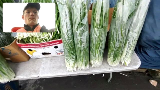 Ранок продаю цибулю смотреть онлайн