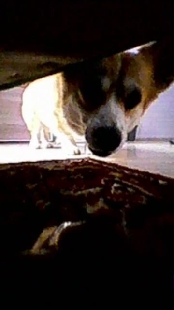 Типичное видео с российского видеорегистратора смотреть онлайн