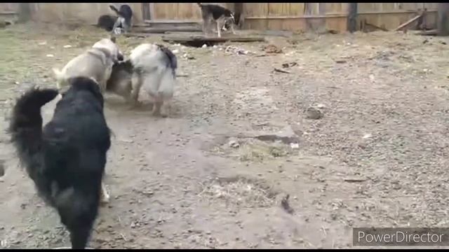 Немного и обо мне... смотреть онлайн