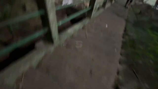 напали на leva2k в бразилии  на русского богатыря напала банда  нападение бандитов на leva2k