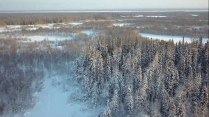 Рыбалка на таёжных озёрах. Ловля на сеть и мормышки. Первый день. 03.02.2022