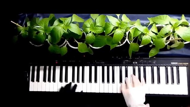 "Вальс Рассады" смотреть онлайн