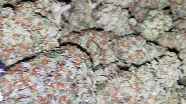 Finished product (Sunset Sherbet) смотреть онлайн