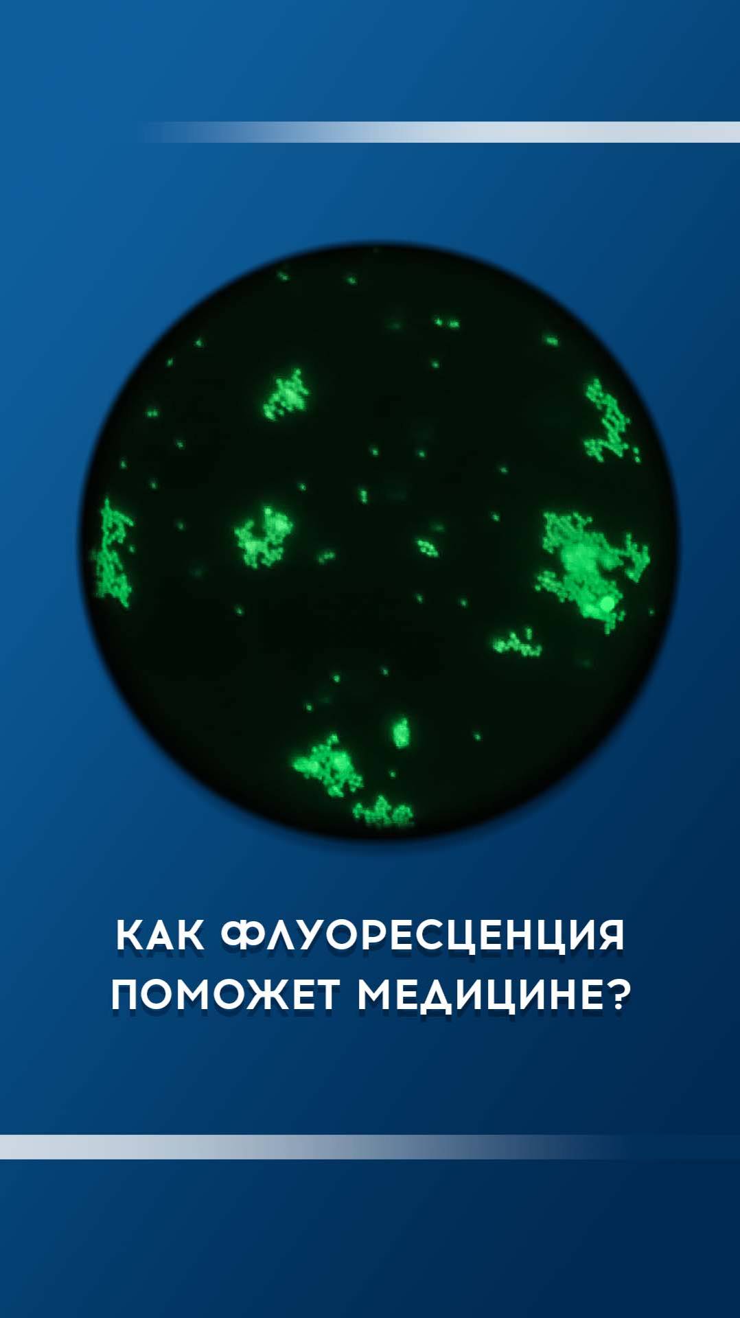 #наукарезультатов #нгу смотреть онлайн