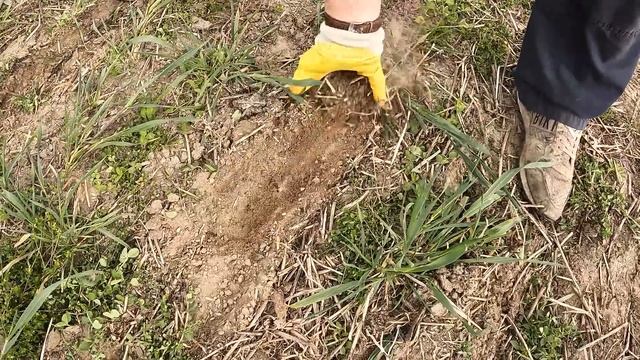 Vlog #139 Funktioniert Direktsaat Mit Der EDX? Sortenversuch Mais Anlegen