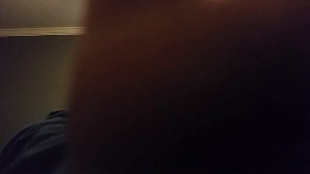 Plan B Skateboard Review | Vlog #11