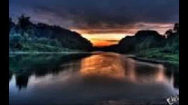 Мои любимые животные))) смотреть онлайн