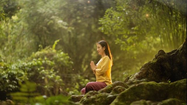 Deep Meditation Shofik- Silent Reflections