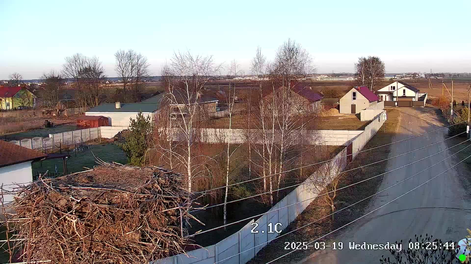 🔴LIVE🔴 Брестский аист, Онлайн гнездо аиста