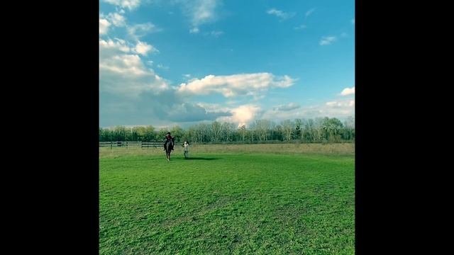 Уроки верховой езды , 1урок апрель 2021 смотреть онлайн