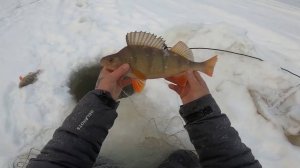 Рыбалка на таёжных озёрах. Ловля на сеть и мормышки. Второй день. 04.02.2022