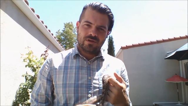 SnakeStrykes.TV "Tarahumara Mountain Boa" Starring: Jesse Peay of The Deathtower Episode 001 смотреть онлайн