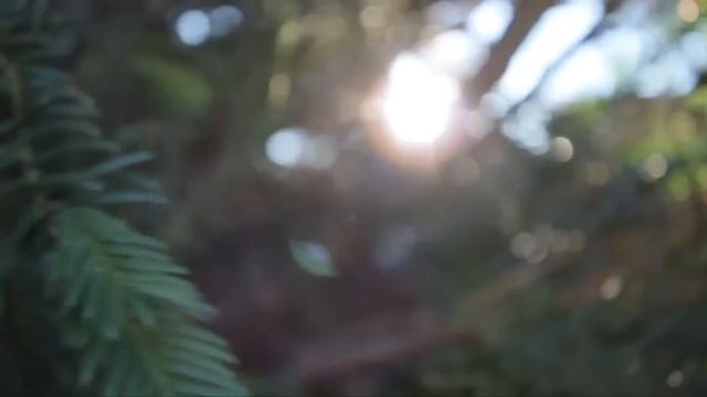 CANON EF-S 10-22mm f 1:3,5-4,5 ||| TEST FOOTAGE 1080p HD ||| CANON 600D смотреть онлайн