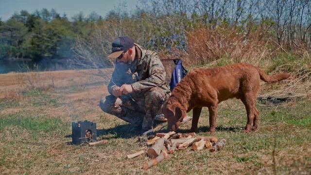 Кукуруза в беконе