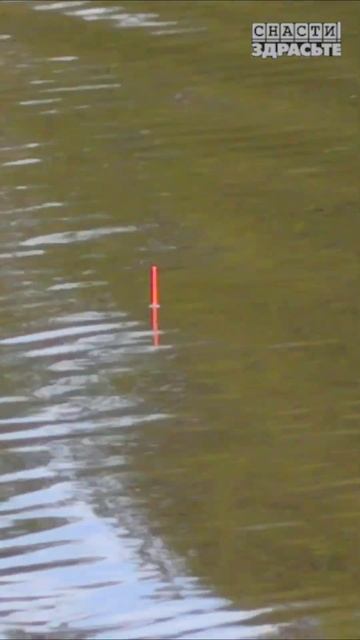 Эта АТМОСФЕРА… Уже скоро#снастиздрасьте смотреть онлайн