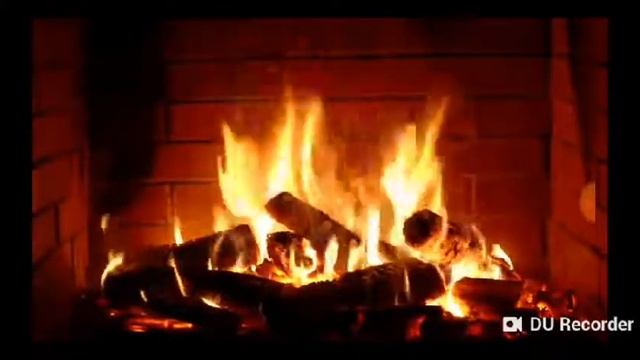 Первое видео GEPARD 😗😗😗😗 смотреть онлайн