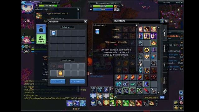 Nostale [FR/EN sub] : Roddyn : Pet Trainer SP FULL Tutorial ! смотреть онлайн