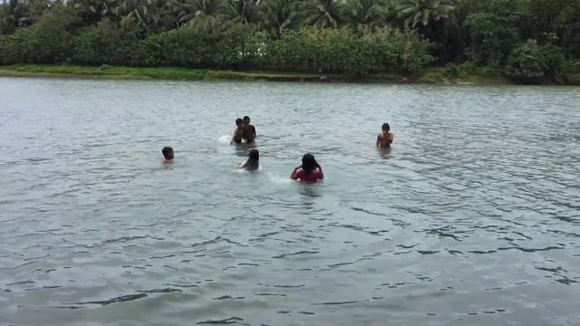 Princess, Katya, Chang2, Hat2, Don2 swimming in the river смотреть онлайн
