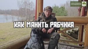 Как манить рябчика