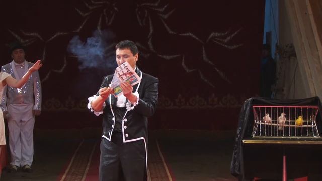 Фокусы в Бишкеке Иллюзионное Шоу с голубями Омурбек Молдокматов смотреть онлайн