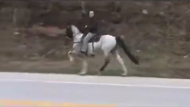 Бешенная скорость "Жорго" смотреть онлайн