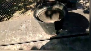 Закорм в Зиму КАС-81!!!