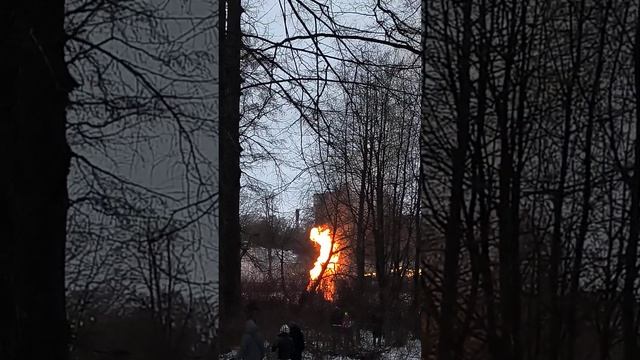 Елагин остров. Масленица: пугало горит.