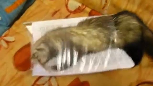 Дрейк 3 смотреть онлайн