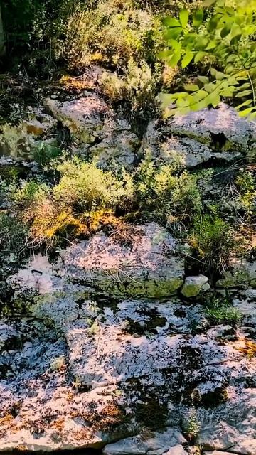 Это Самый Длинный Каньон в Крыму | Чернореченский каньон | Что посмотреть в Севастополе смотреть онлайн