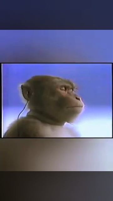 Дора & Gorillaz - Feel Good (mashup / мэшап) mood song смотреть онлайн