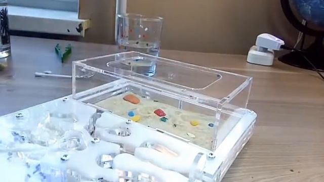 Новое видео про муравьёв! Уборка формикария! смотреть онлайн