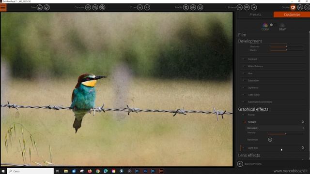 DxO FilmPack 7: Panoramica E Novità (con Dimostrazione Pratica)