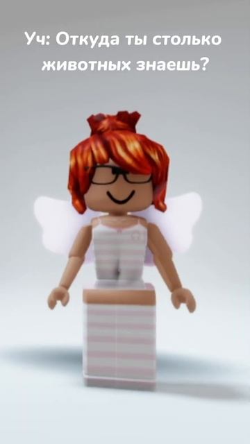 Откуда ты столько животных знаешь?😧 #youtube #roblox #залетитпж #капкут #животные #адоптми смотреть онлайн