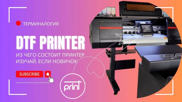 Из чего состоит DTF принтер? Разбираемя вместе)